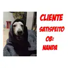 Cobertor Pet 3 Peças Resistente Pronta Entrega 1,33 X 1,10 Misto Cinza - Imagem 5