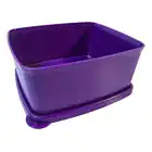 Tupperware | Jeitosinho 400 Ml Freezer - Cor Ametista - Imagem 4