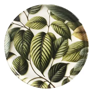 Conjunto com 6 Pratos Raso Bio Éden Ø27,5cm Porto Brasil