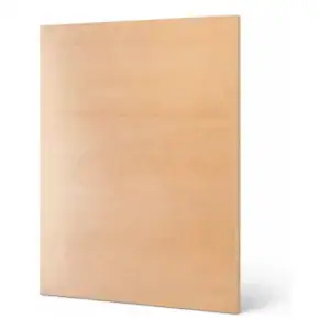 Chapa Compensado Parica 2,20 X 1,60 X 6mm Bege