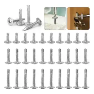 Kit 60 Parafusos Auto Atarraxantes Aço Inox Com Arruela