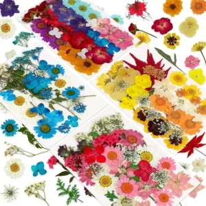 A Lishan 144 Peças De Flores Prensadas Secas Naturais Para