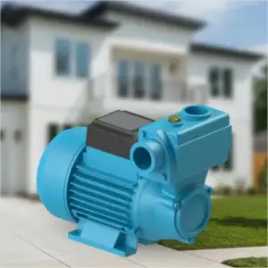 Motobomba Periferica Auto Aspirante Dancor Dpa-40 1/2 Cv-biv Cor Azul Fase Elétrica Bifásica Frequência 60 Hz