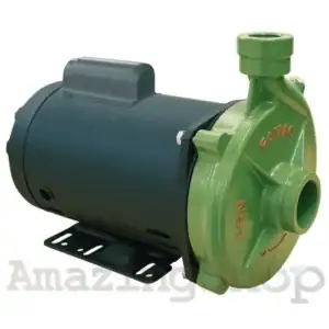 Bomba Centrífuga 1cv Fgn-2 220/380v Trifásico Famac