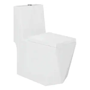 Vaso Sanitário Monobloco Completo - Caixa Acoplada Privada Cor Branco - VAB0005