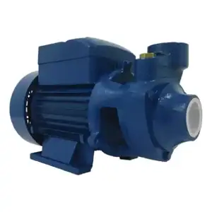 Bomba D`água Motobomba Periférica 0,5hp 1/2 Cv Bp60 Gidrox by Lepono Cor Azul