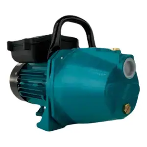 Motobomba Autoaspirante Lepono Ferro Fundido Xkj900 1,2hp Frequência 60Hz