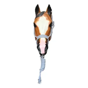 Cabresto Feito Com Paracord Boots Horse Nova Coleção Cores