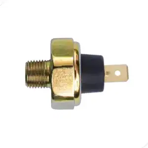 Interruptor Oleo (rh3343) - F12000 1994 1995 1996 3rho