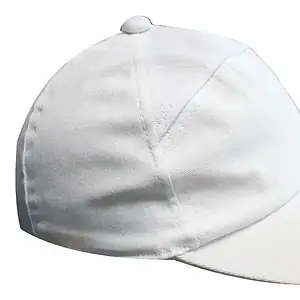 Kit 20boné Modelo Japonês Brim Pesado Reg. Plástico Acougue