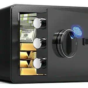Cofre Eletrônico Digital Biométrico Grande Com Porta Usb