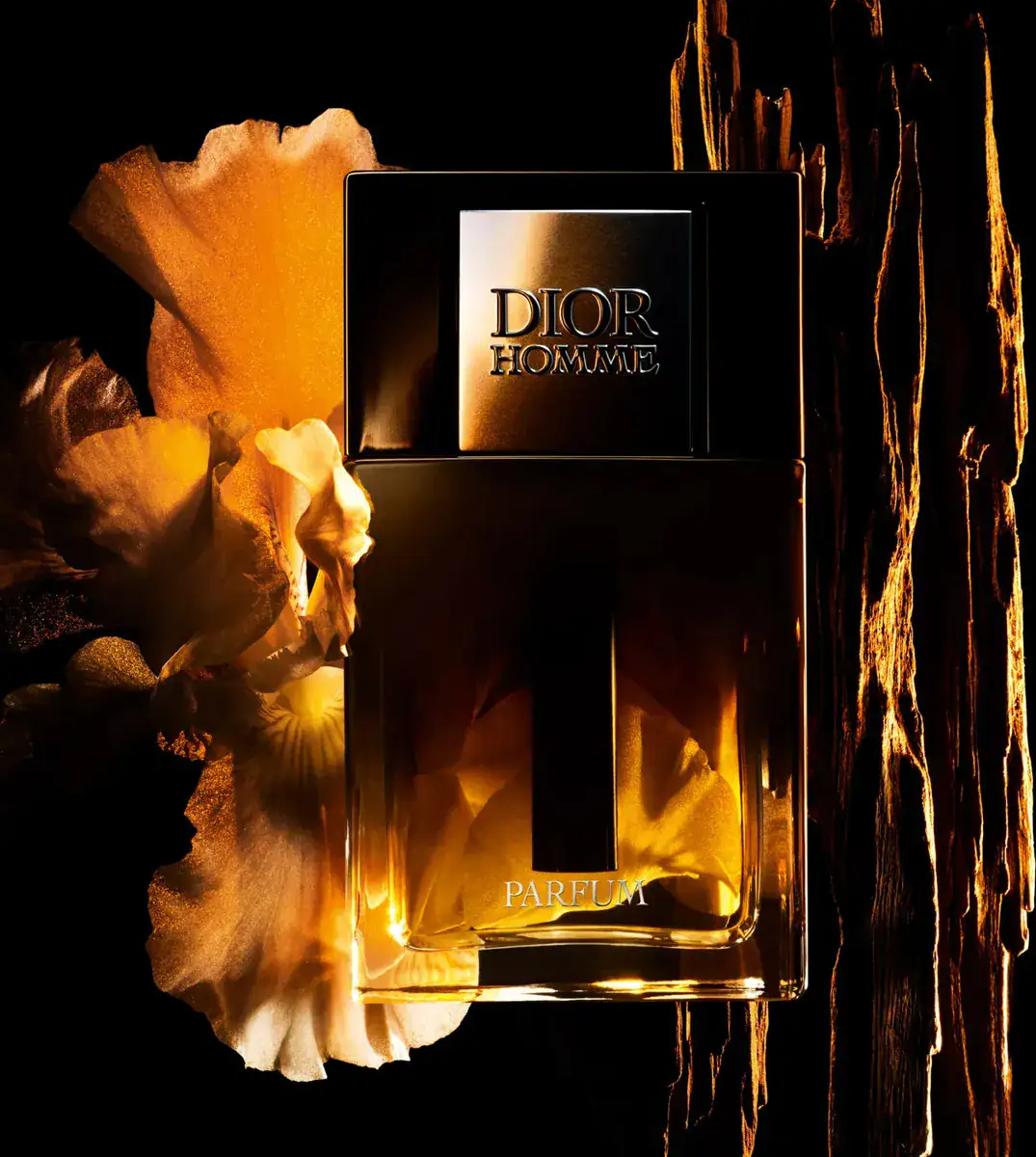 Perfume Dior Homme Parfum Masculino 75ml Oriental Lírio Âmbar